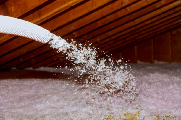 Best Commercial Insulation in Leilani Estates, HI