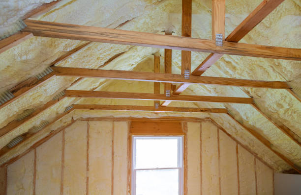 Best Insulation for Specific Applications in Leilani Estates, HI