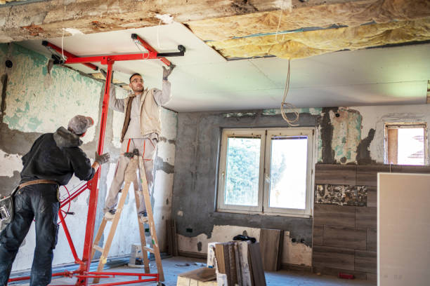 Best Residential Insulation in Leilani Estates, HI