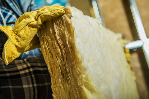 Best Insulation for Specific Applications in Leilani Estates, HI